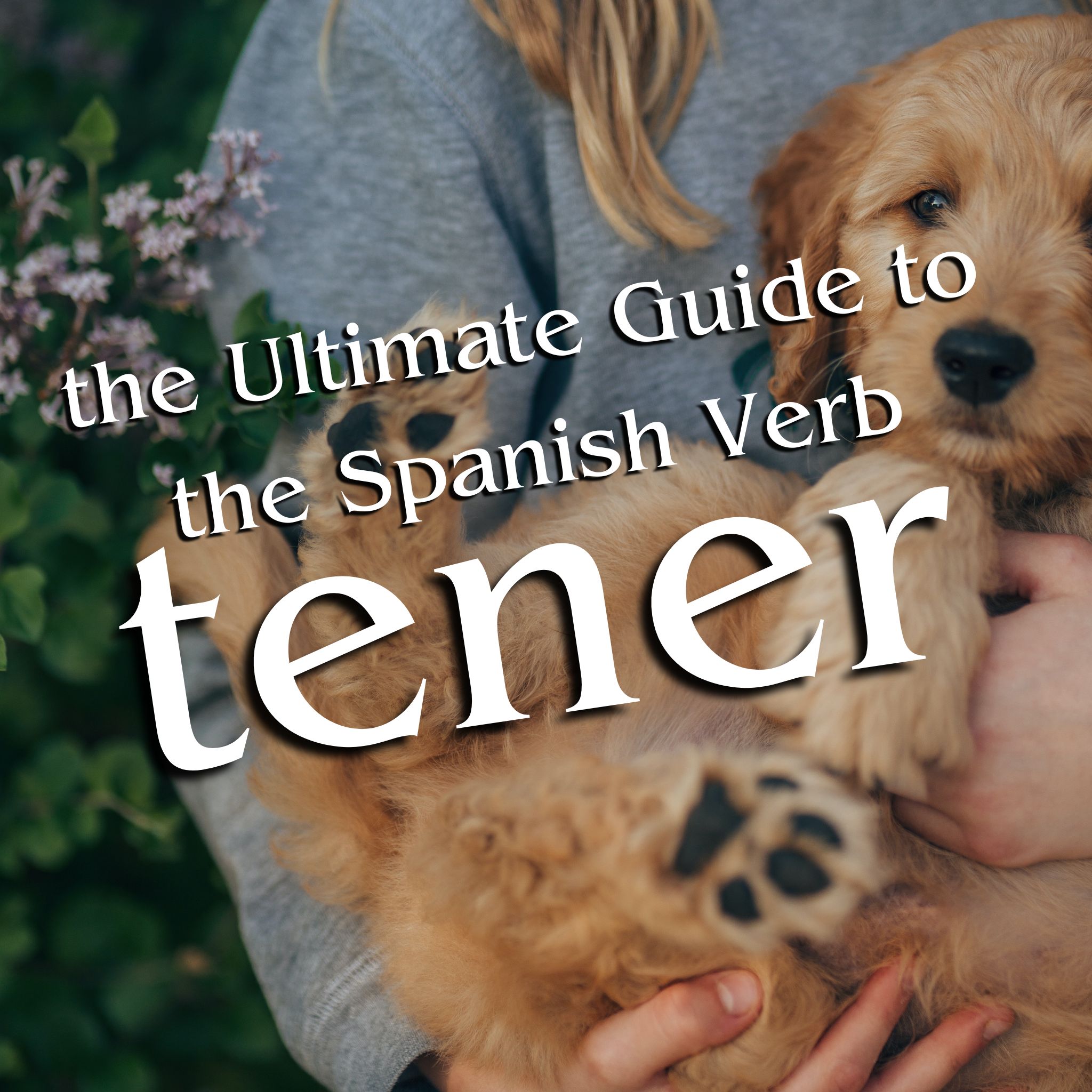 The Ultimate Guide to the Spanish Verb Tener