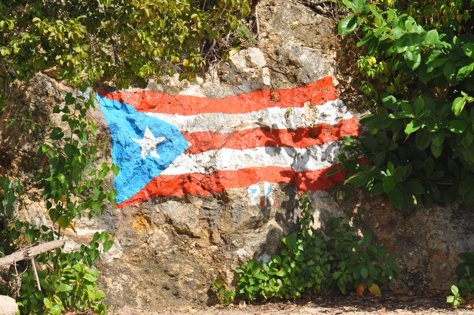 Puerto Rican Slang