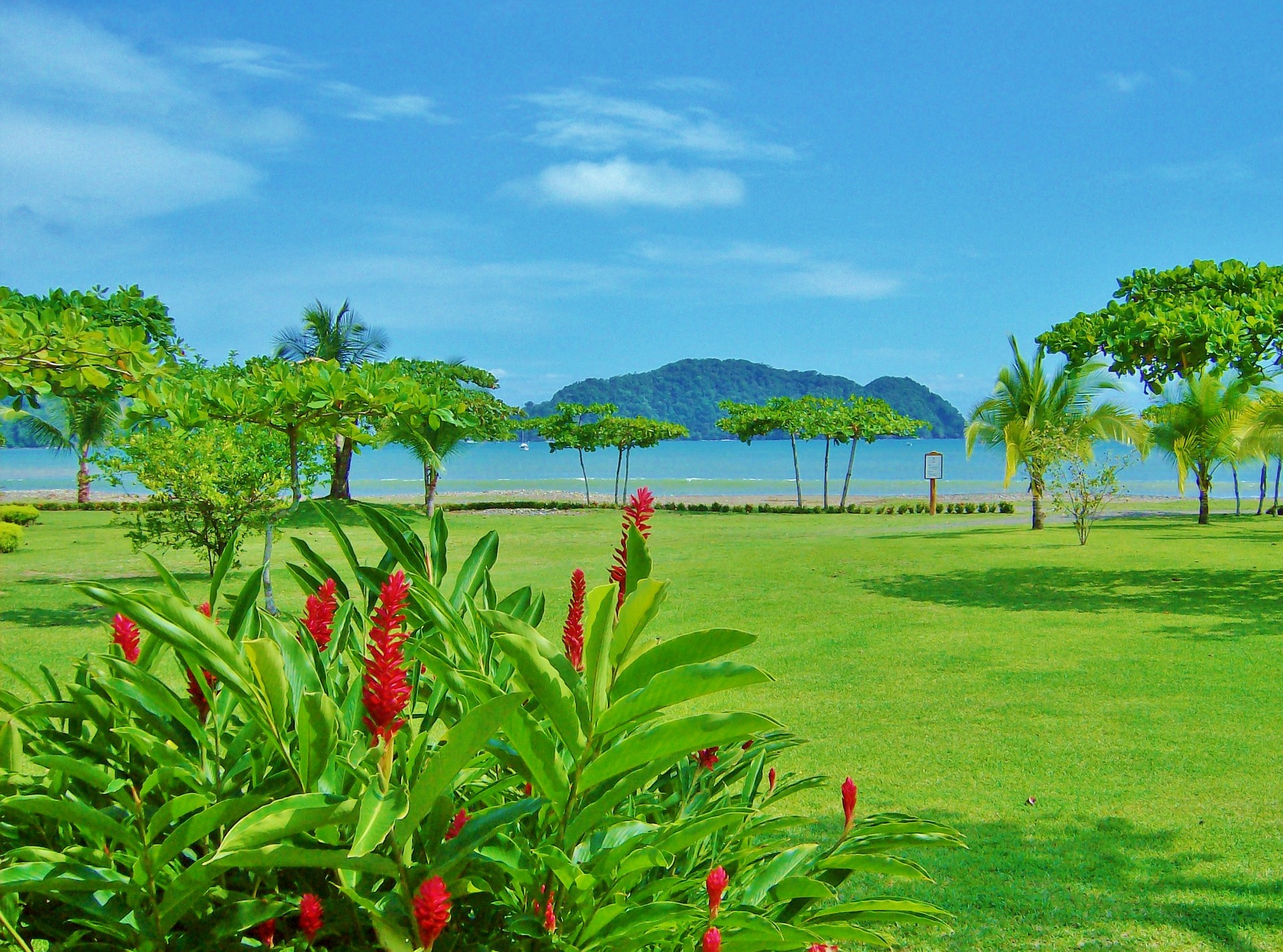 Costa Rican Slang 30 Words To Talk Like A Real Tico