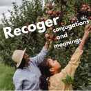 Two women picking apples in an orchard. One woman is reaching for apples on a tree, while the other is gathering fruit below. The image features the text "Recoger conjugations and meanings" in bold letters.