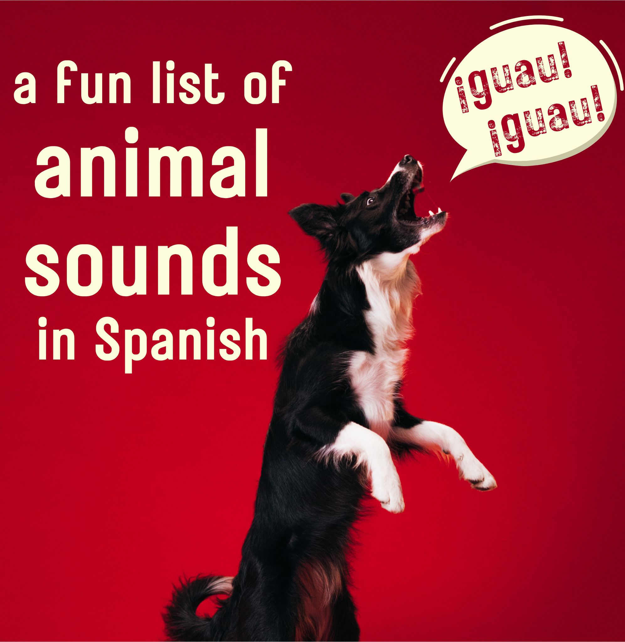 Animal sounds in Spanish