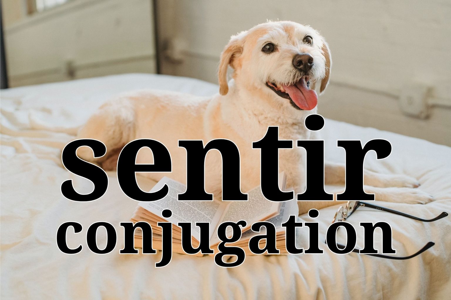 sentir-conjugation-in-spanish-every-tense-with-examples