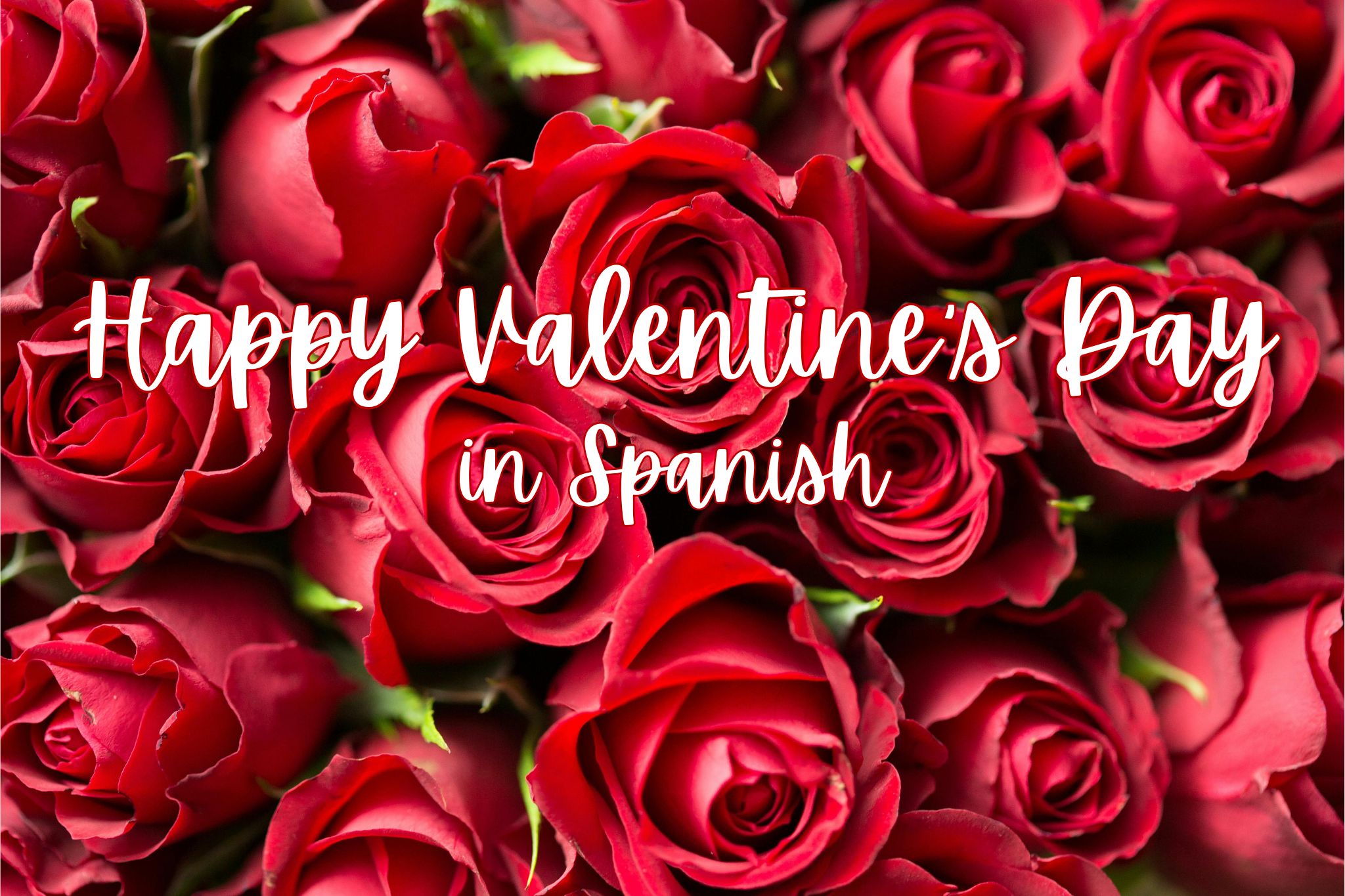 Happy Valentine’s Day in Spanish