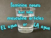Feminine nouns that take masculine articles: EL agua or La agua