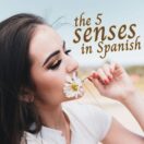 The 5 senses in Spanish
