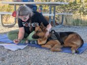 A woman sits cross-legged on a blue mat at an outdoor picnic table, writing in a notebook. A German Shepherd lies beside her, wearing a harness. The scene features a desert environment with sparse greenery.